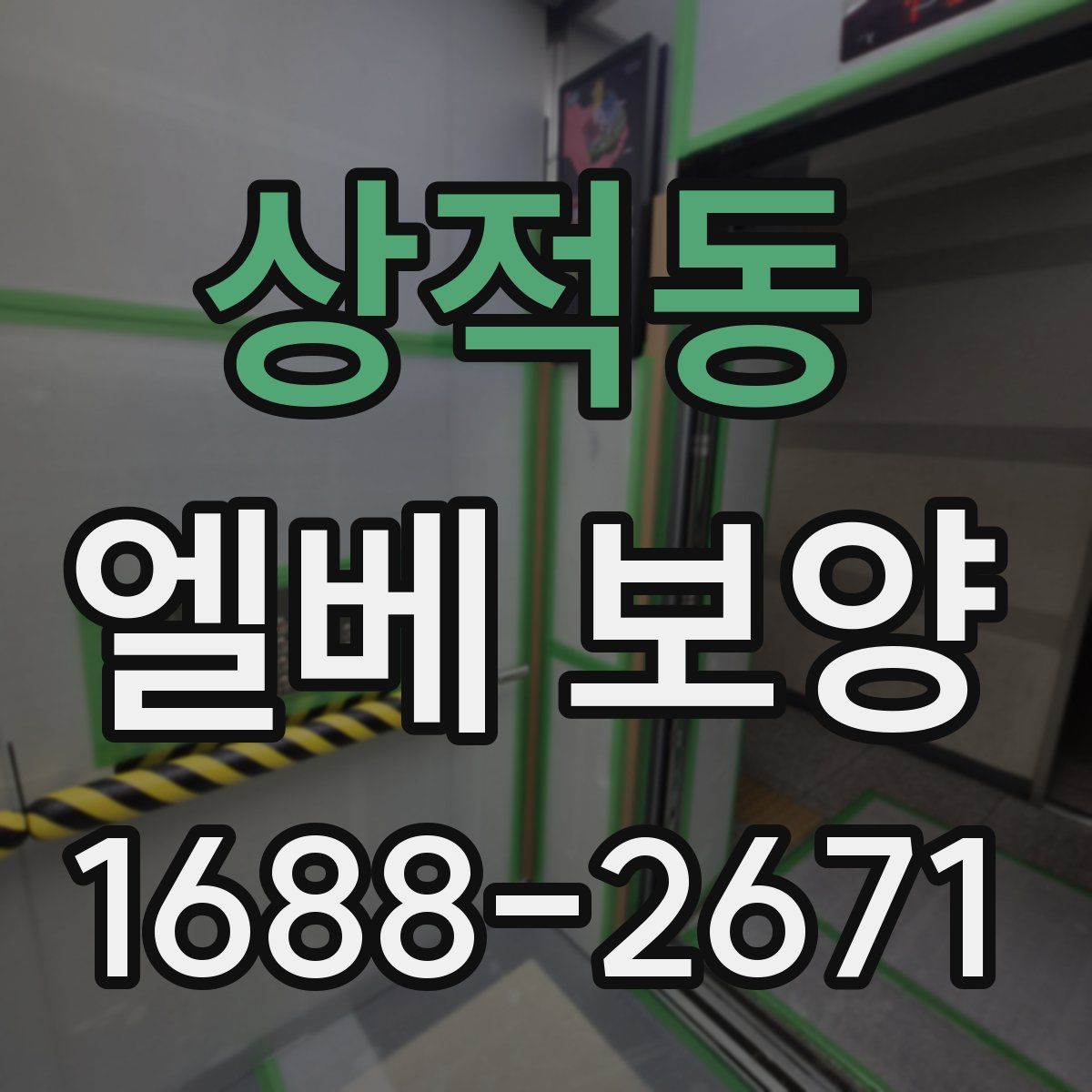상적동 엘베 보양