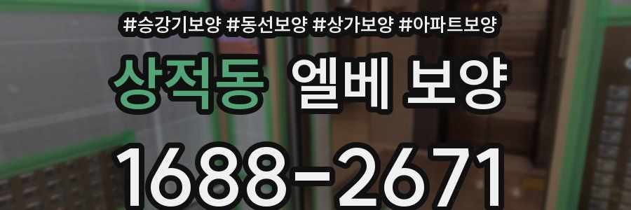 상적동 엘베 보양