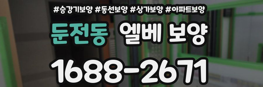 둔전동 엘베 보양