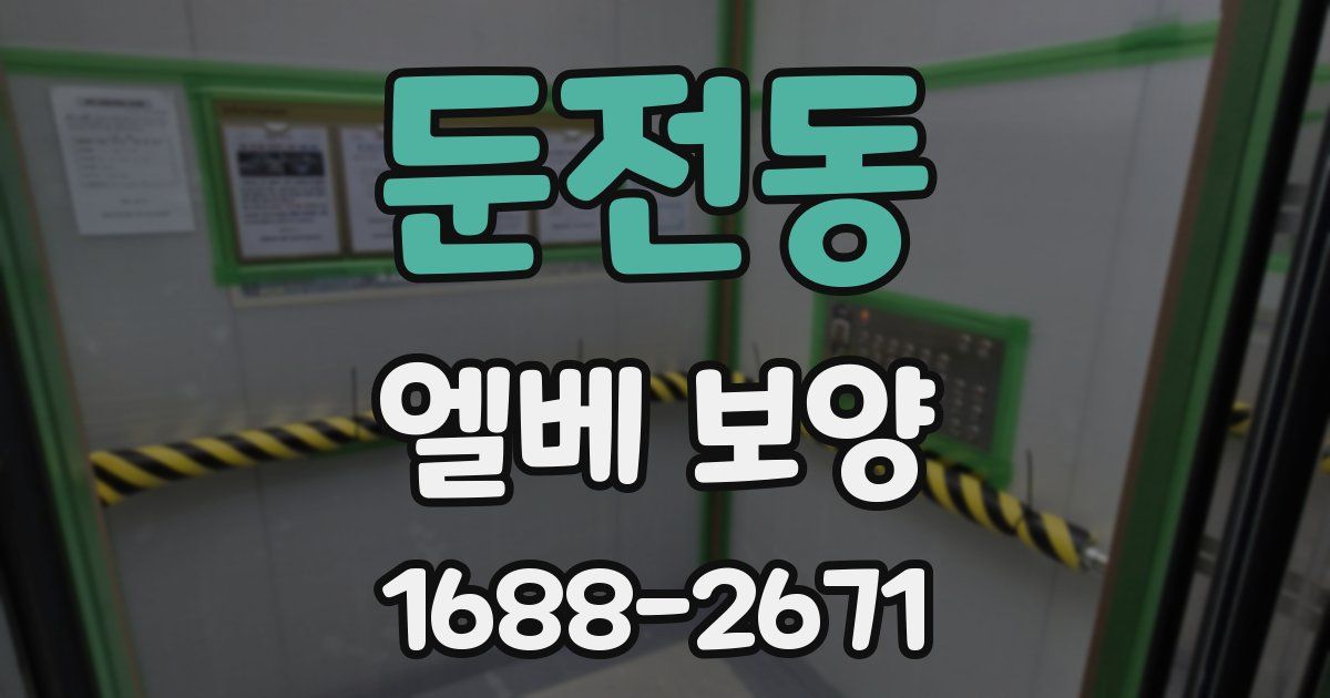 둔전동 엘베 보양