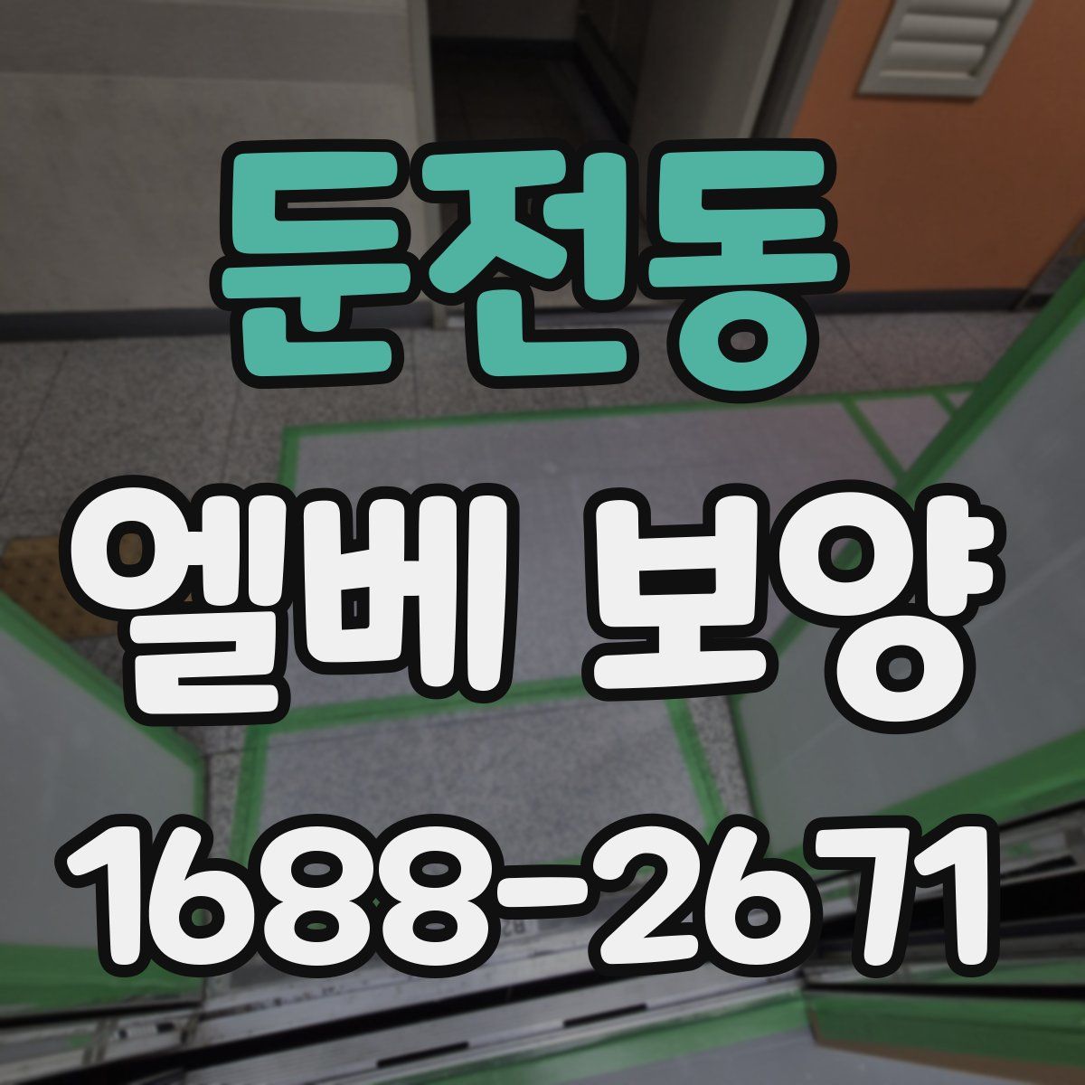 둔전동 엘베 보양