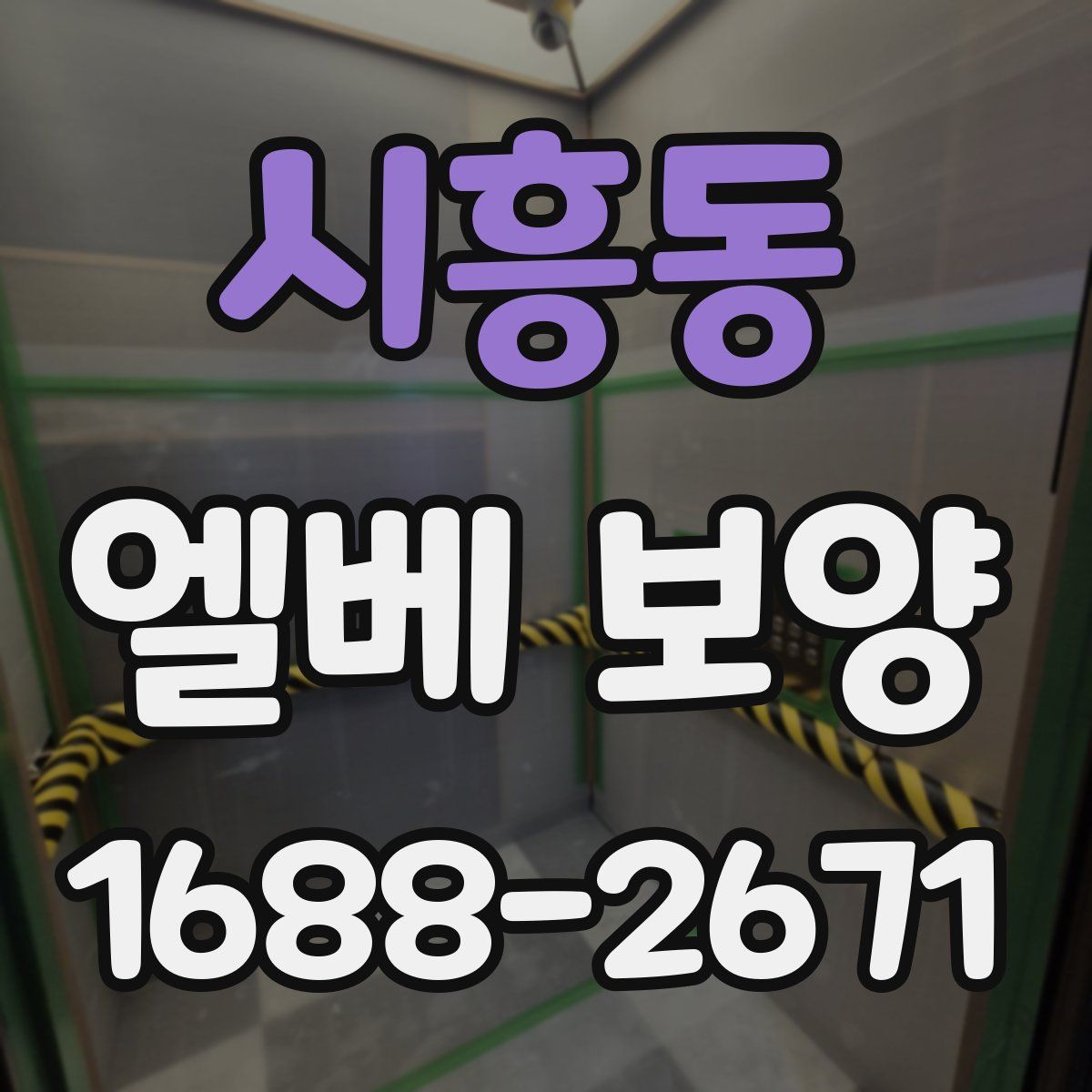시흥동 엘베 보양