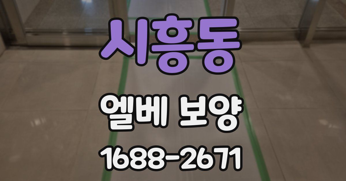 시흥동 엘베 보양