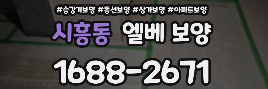 시흥동 엘베 보양