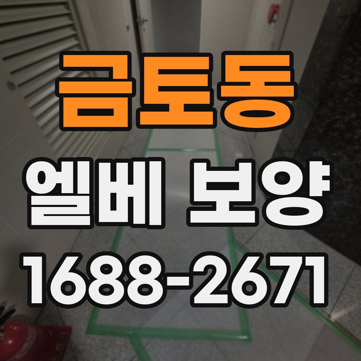 금토동 엘베 보양