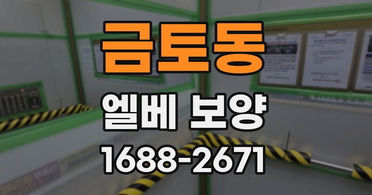 금토동 엘베 보양