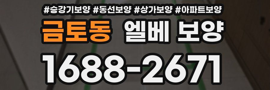 금토동 엘베 보양