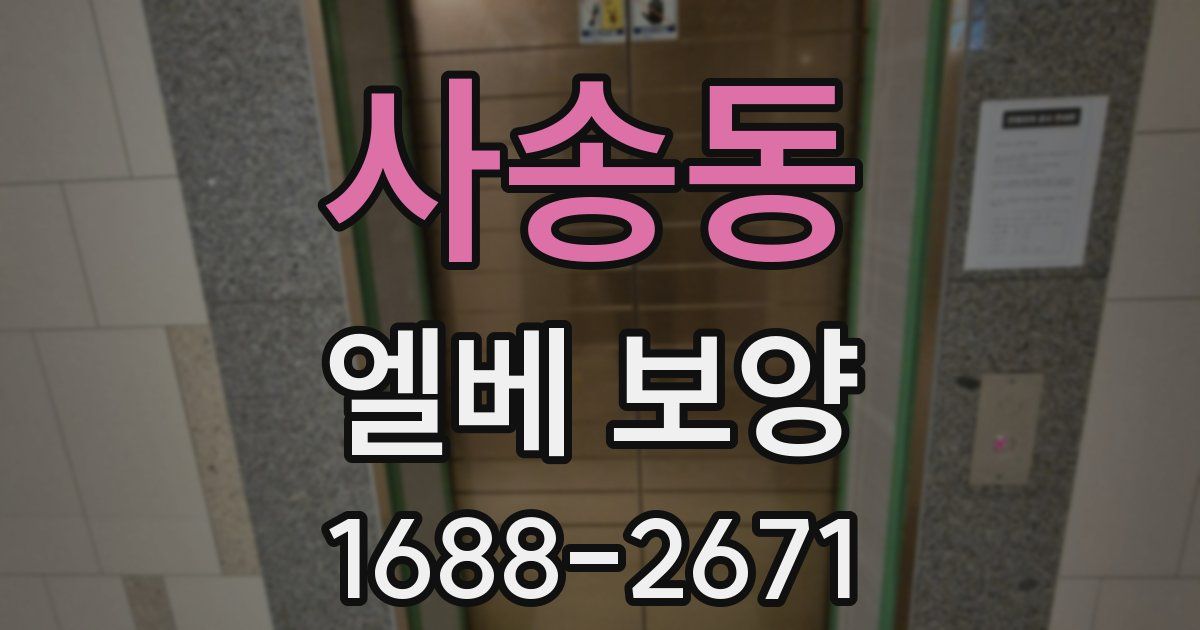 사송동 엘베 보양