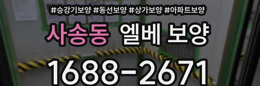 사송동 엘베 보양