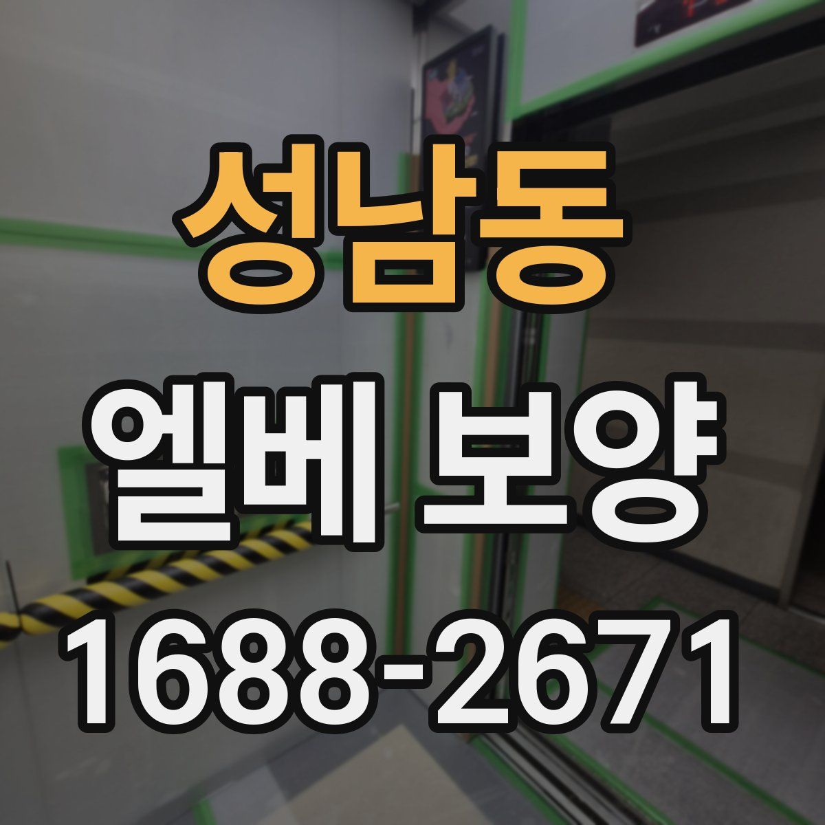 성남동 엘베 보양