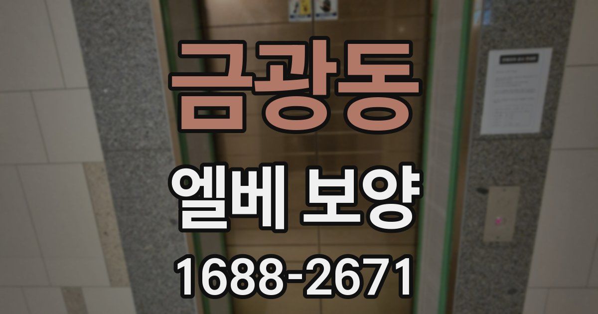 금광동 엘베 보양