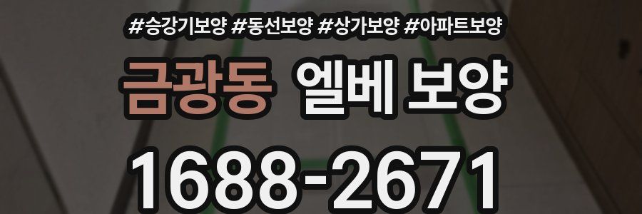 금광동 엘베 보양