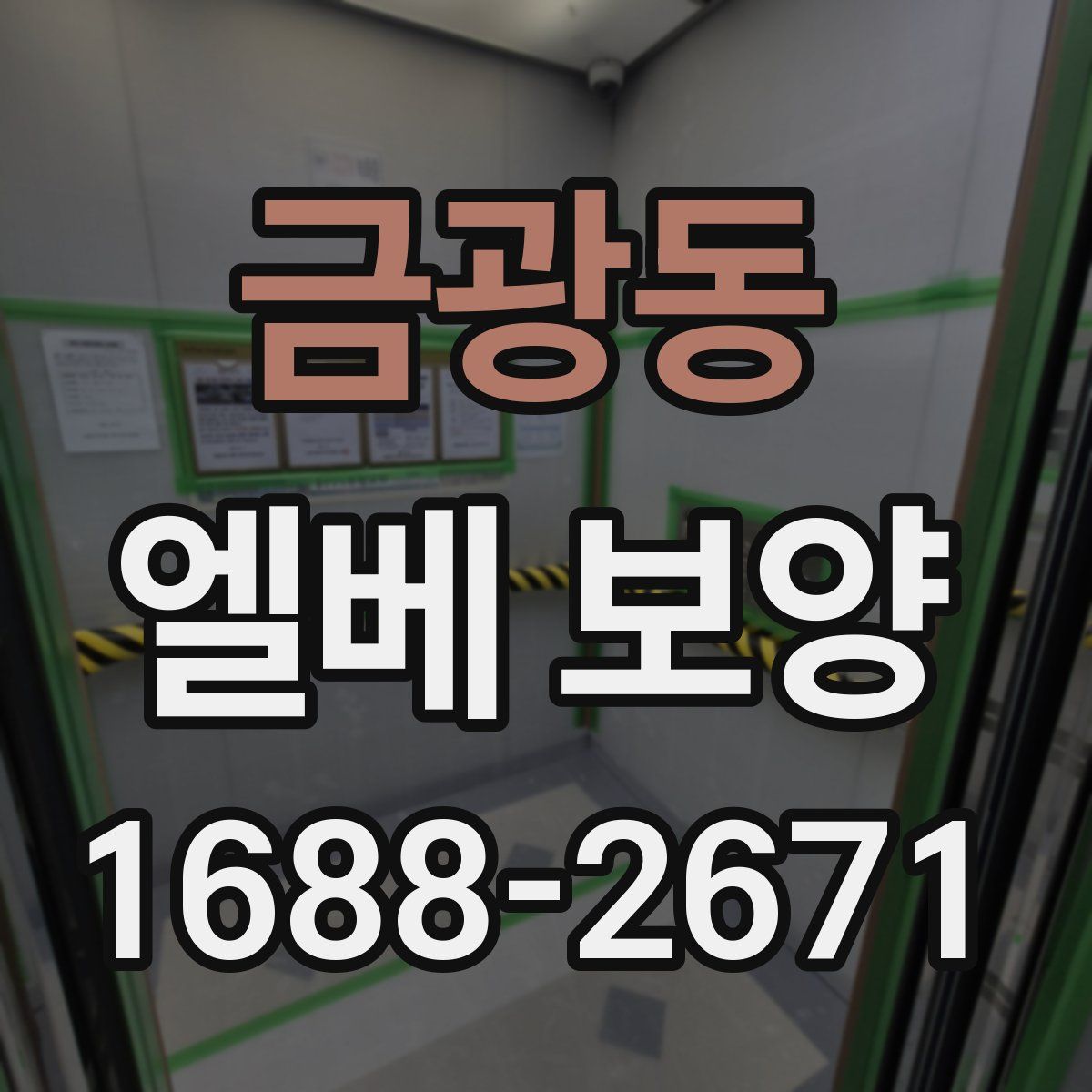 금광동 엘베 보양