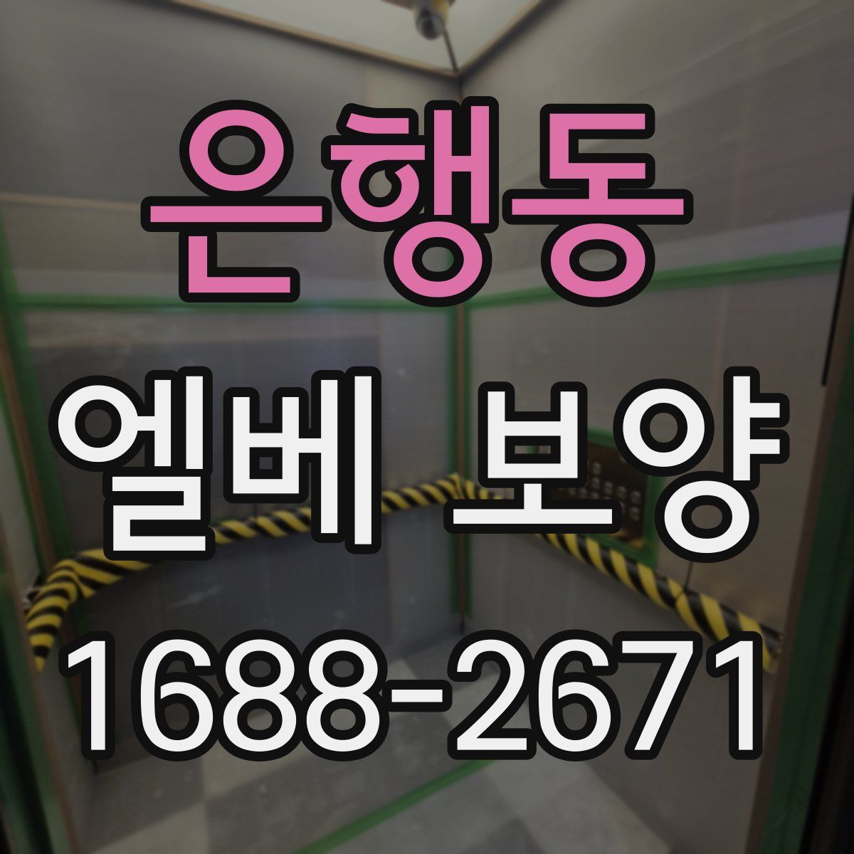 은행동 엘베 보양