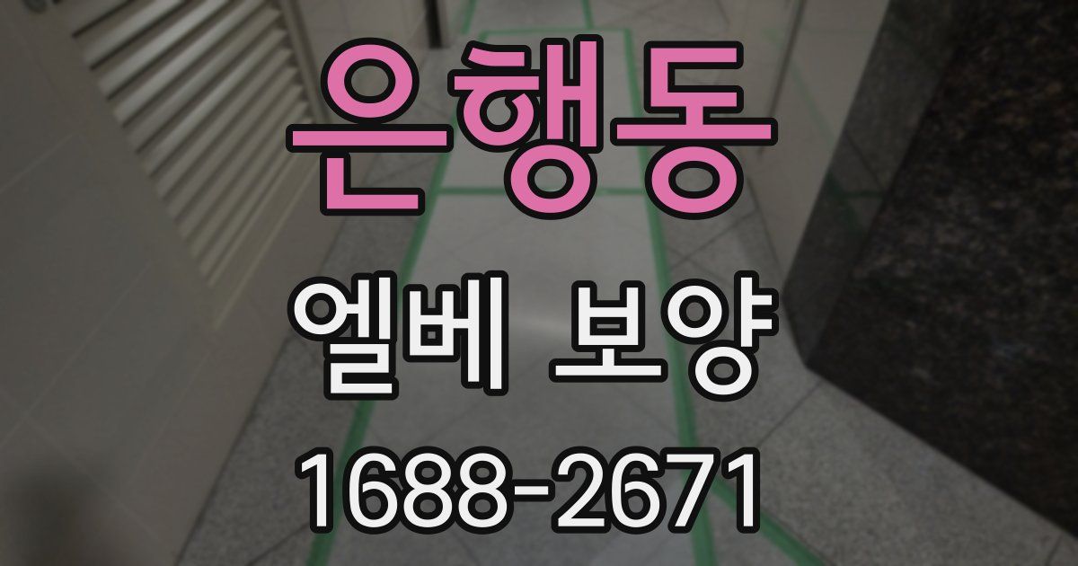 은행동 엘베 보양