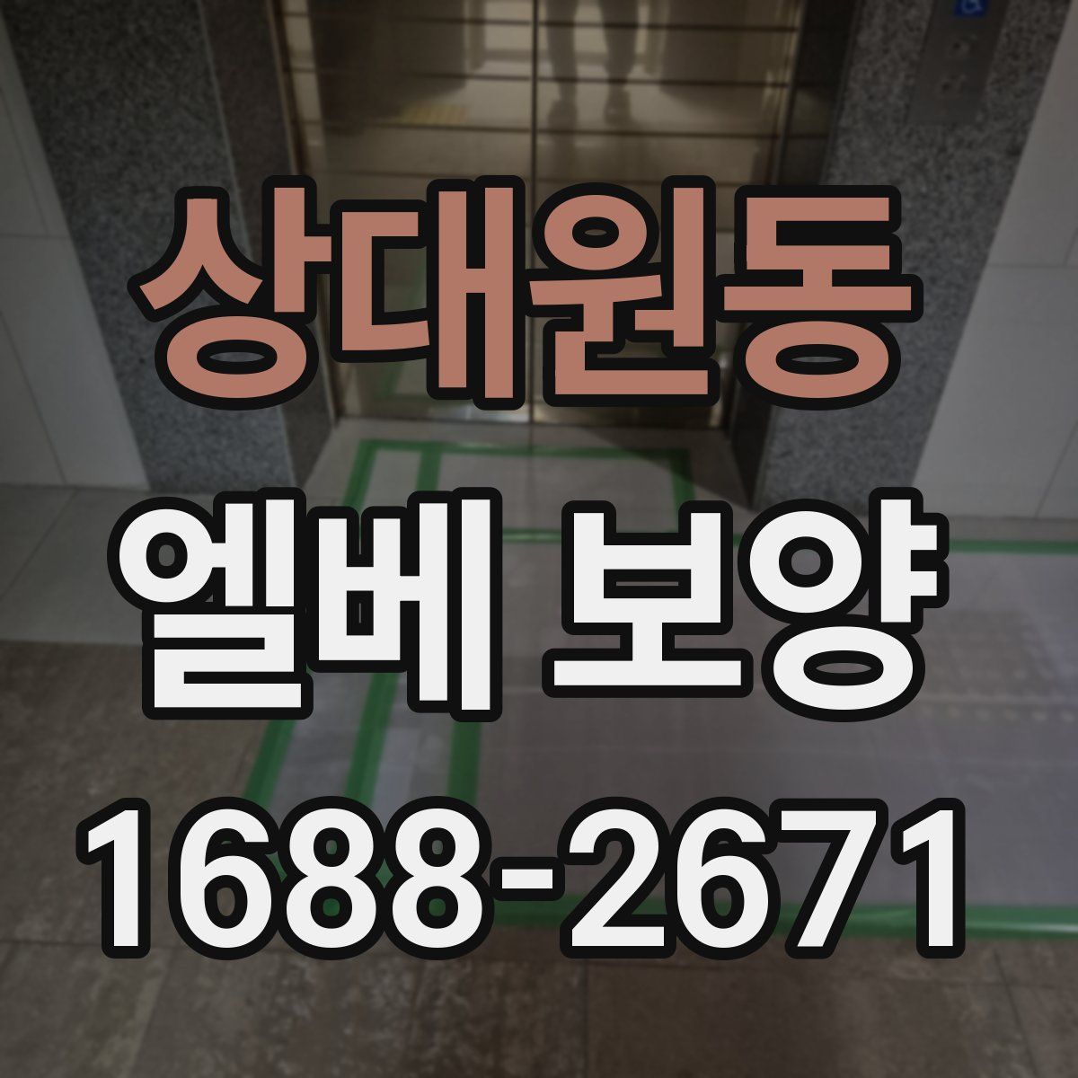 상대원동 엘베 보양