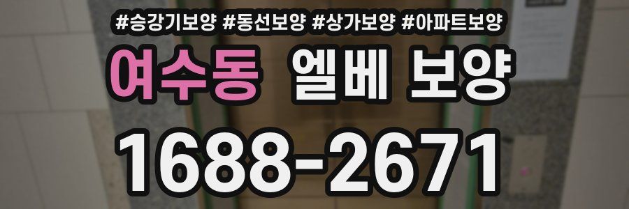 여수동 엘베 보양