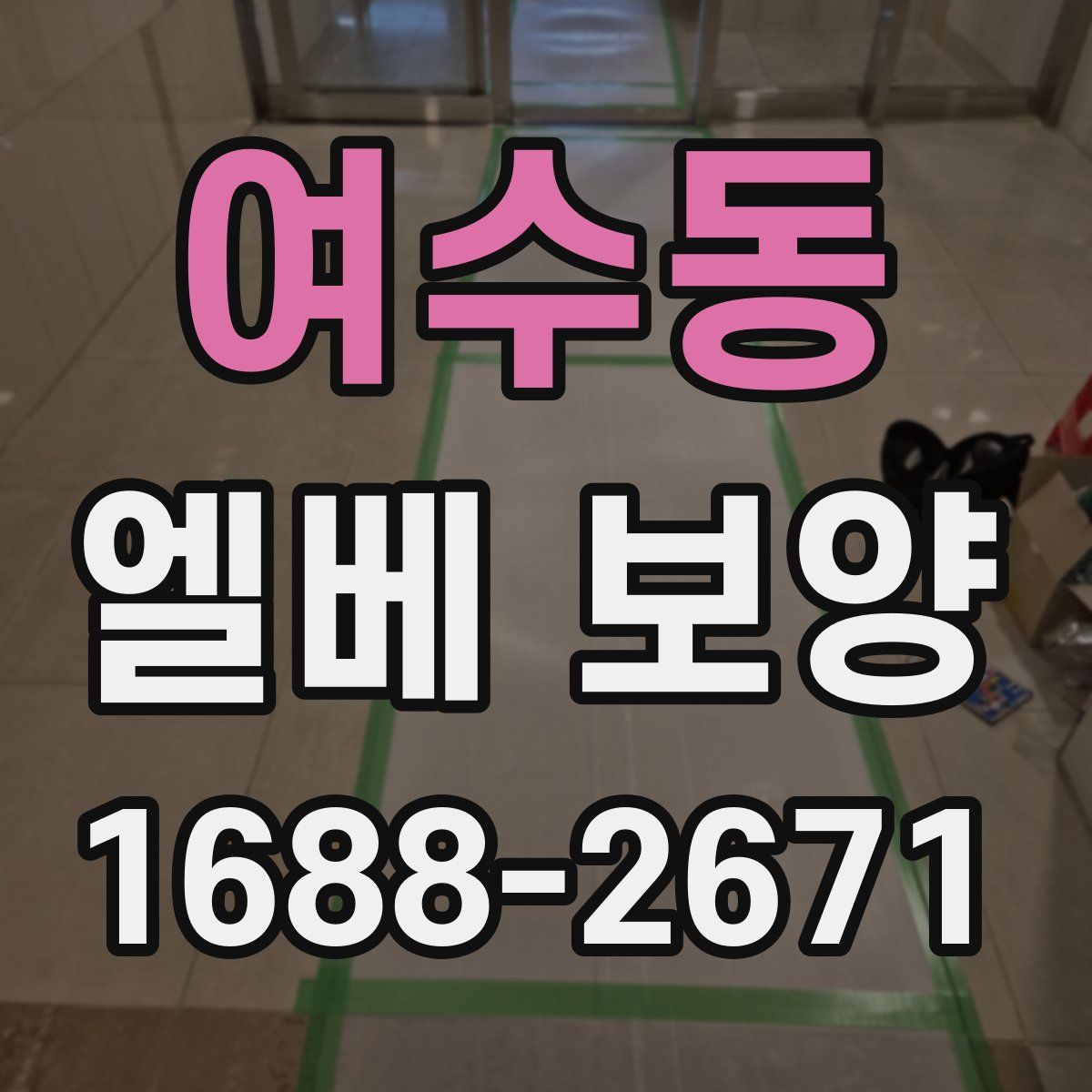 여수동 엘베 보양