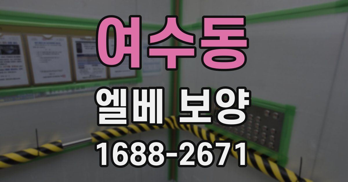 여수동 엘베 보양