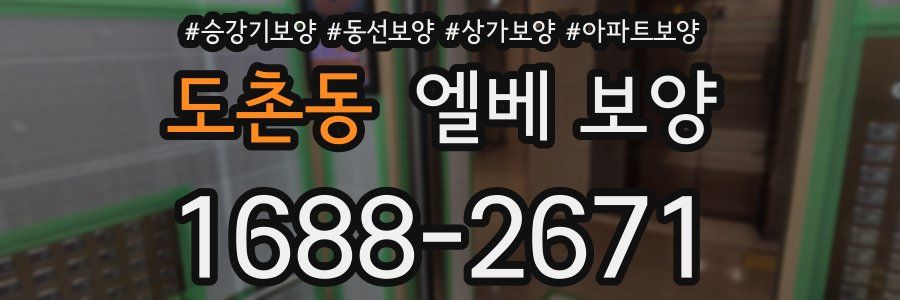 도촌동 엘베 보양