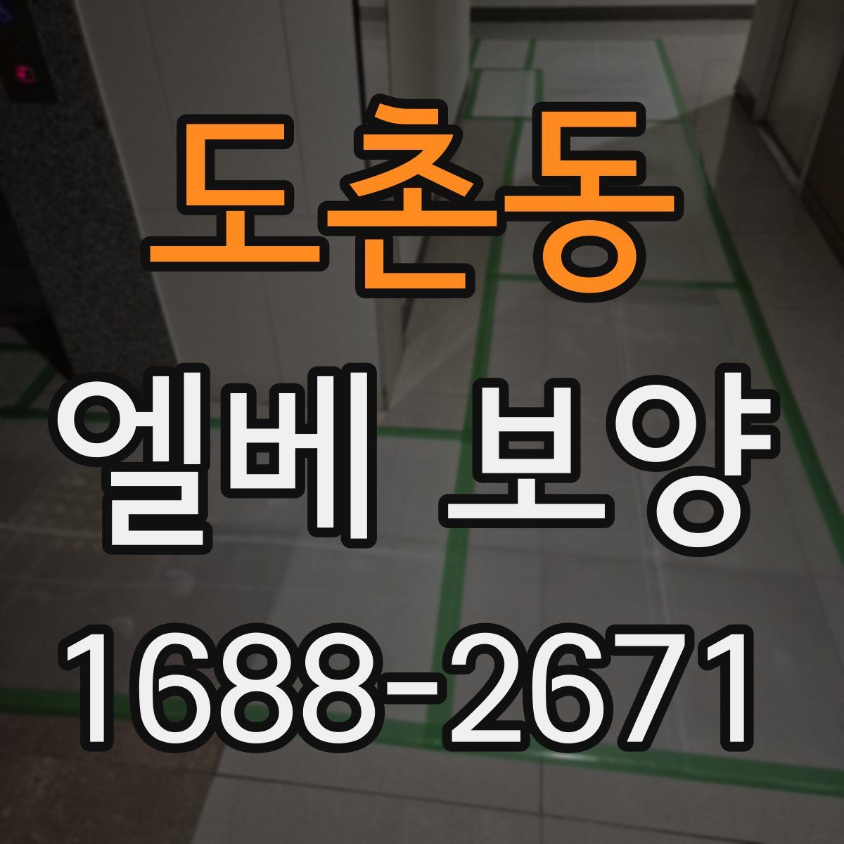 도촌동 엘베 보양