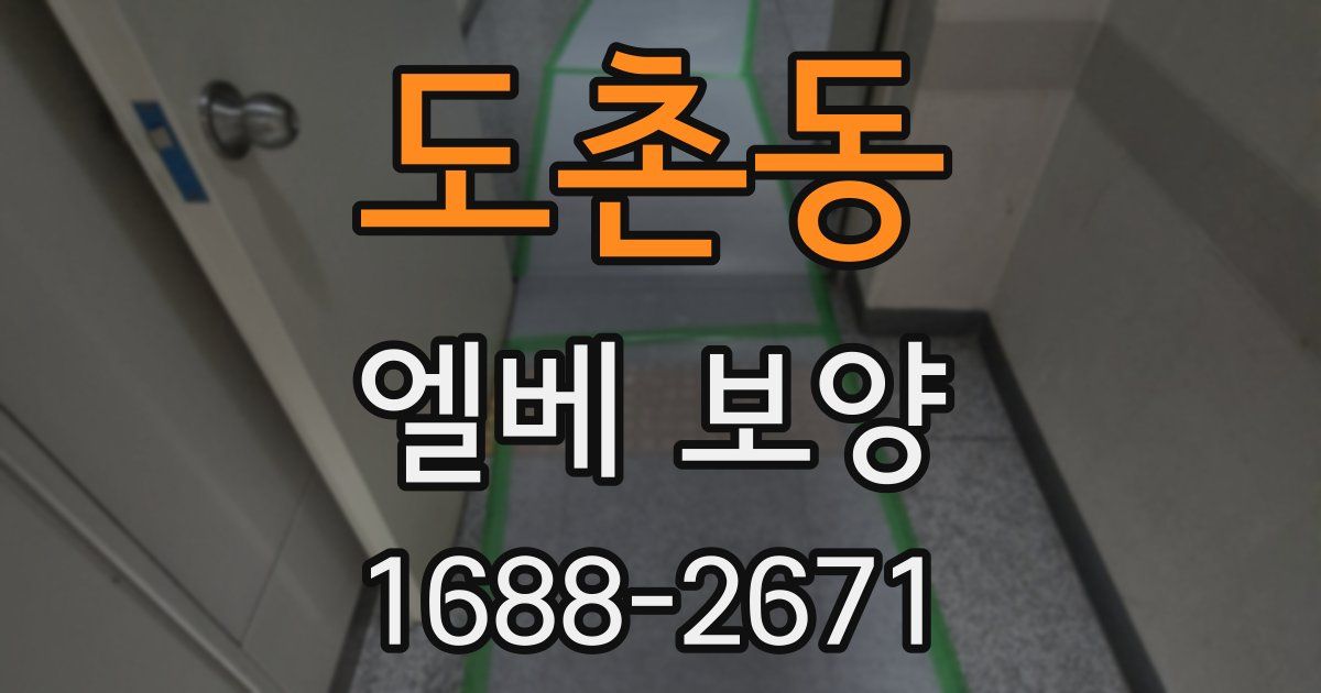 도촌동 엘베 보양