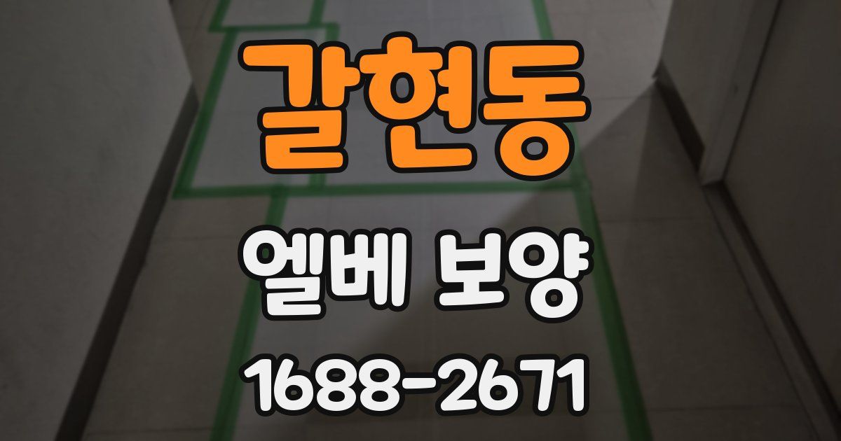갈현동 엘베 보양