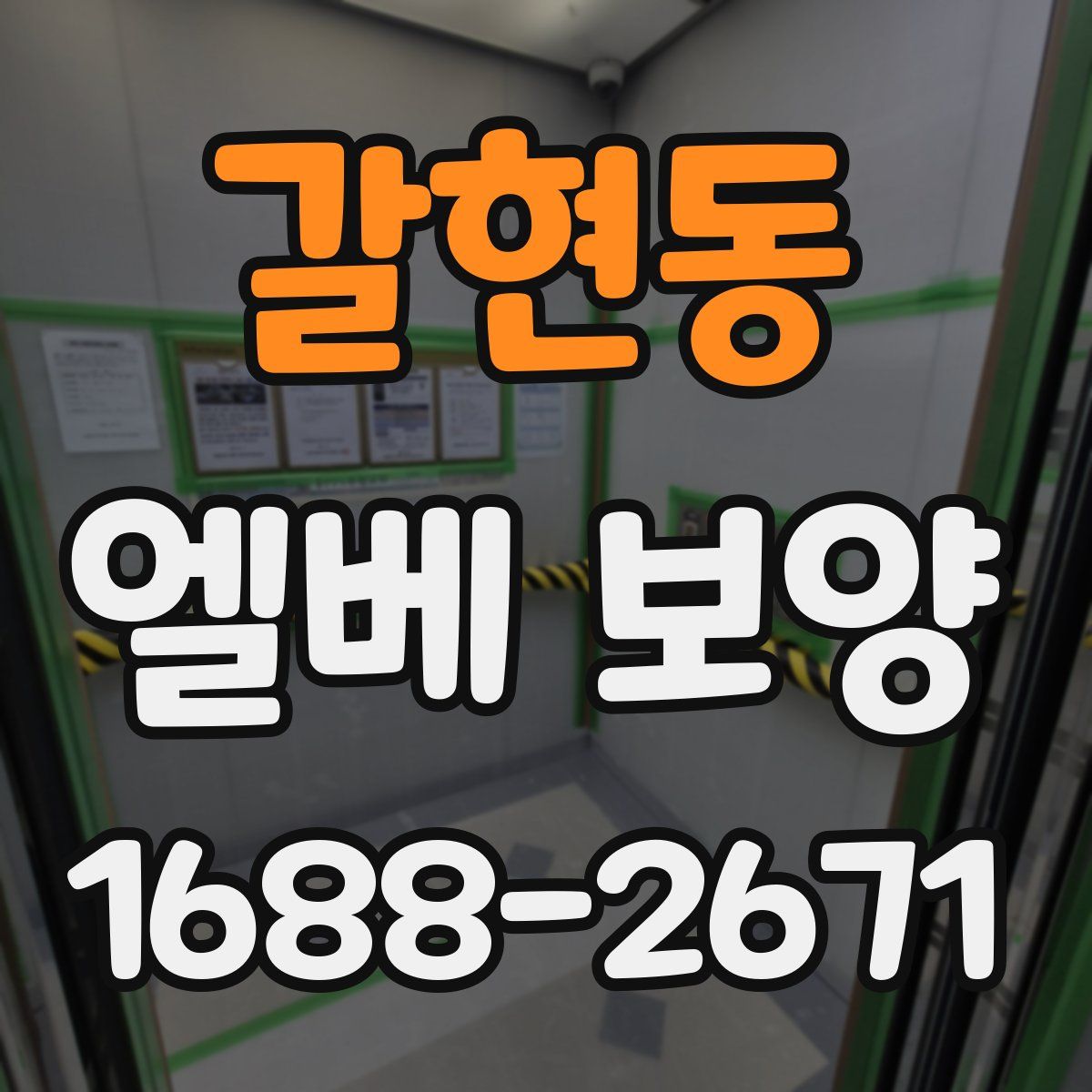 갈현동 엘베 보양