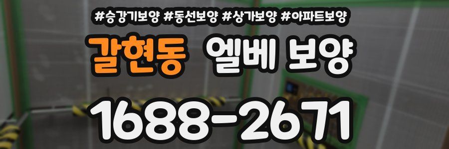 갈현동 엘베 보양