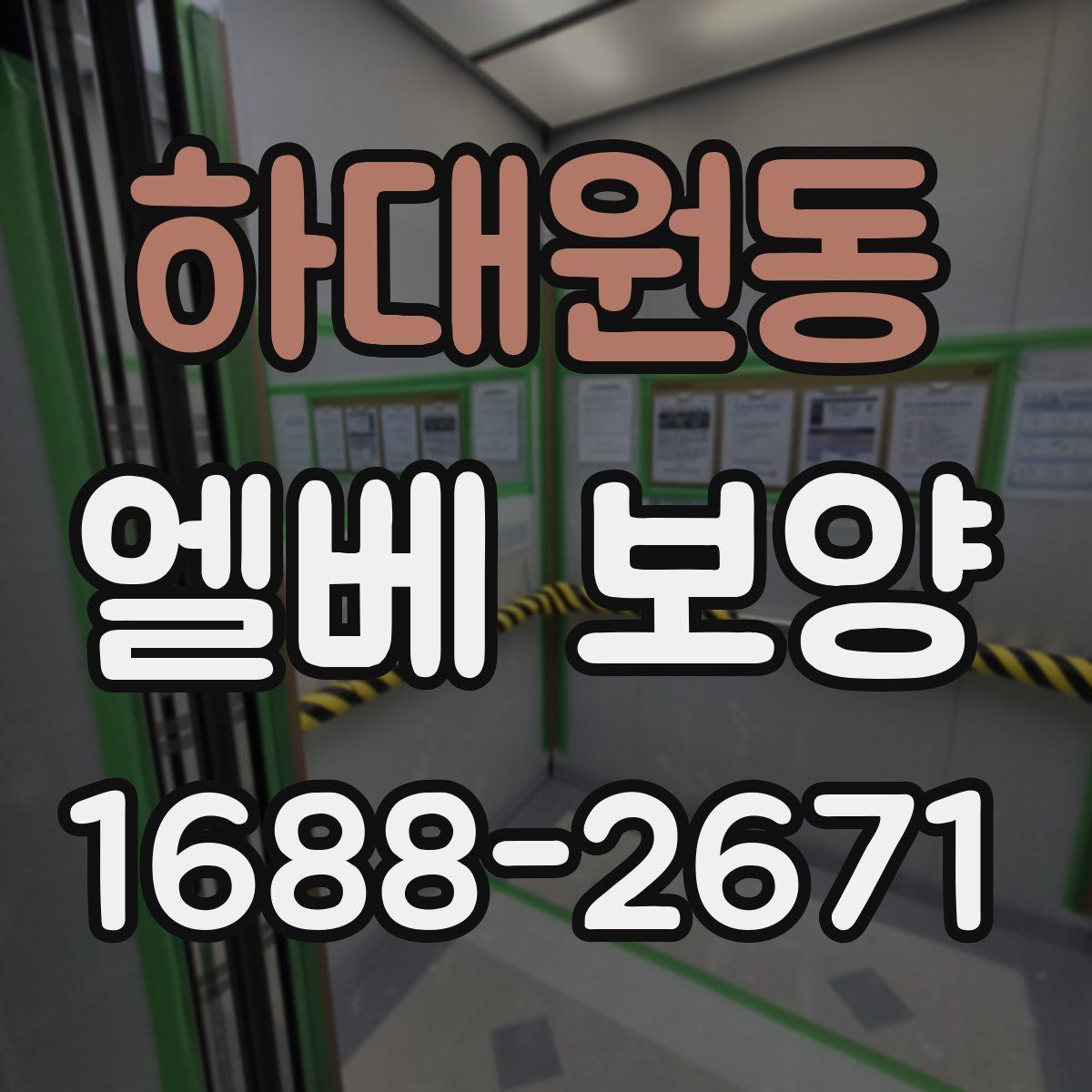 하대원동 엘베 보양