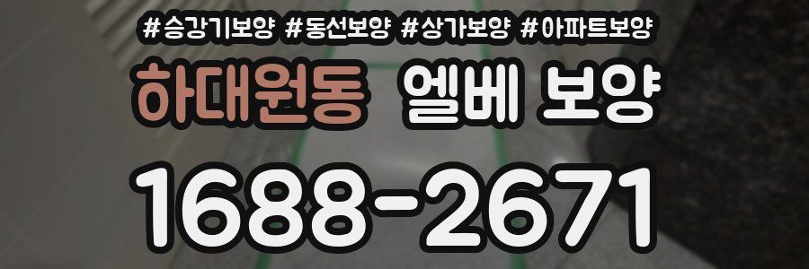 하대원동 엘베 보양