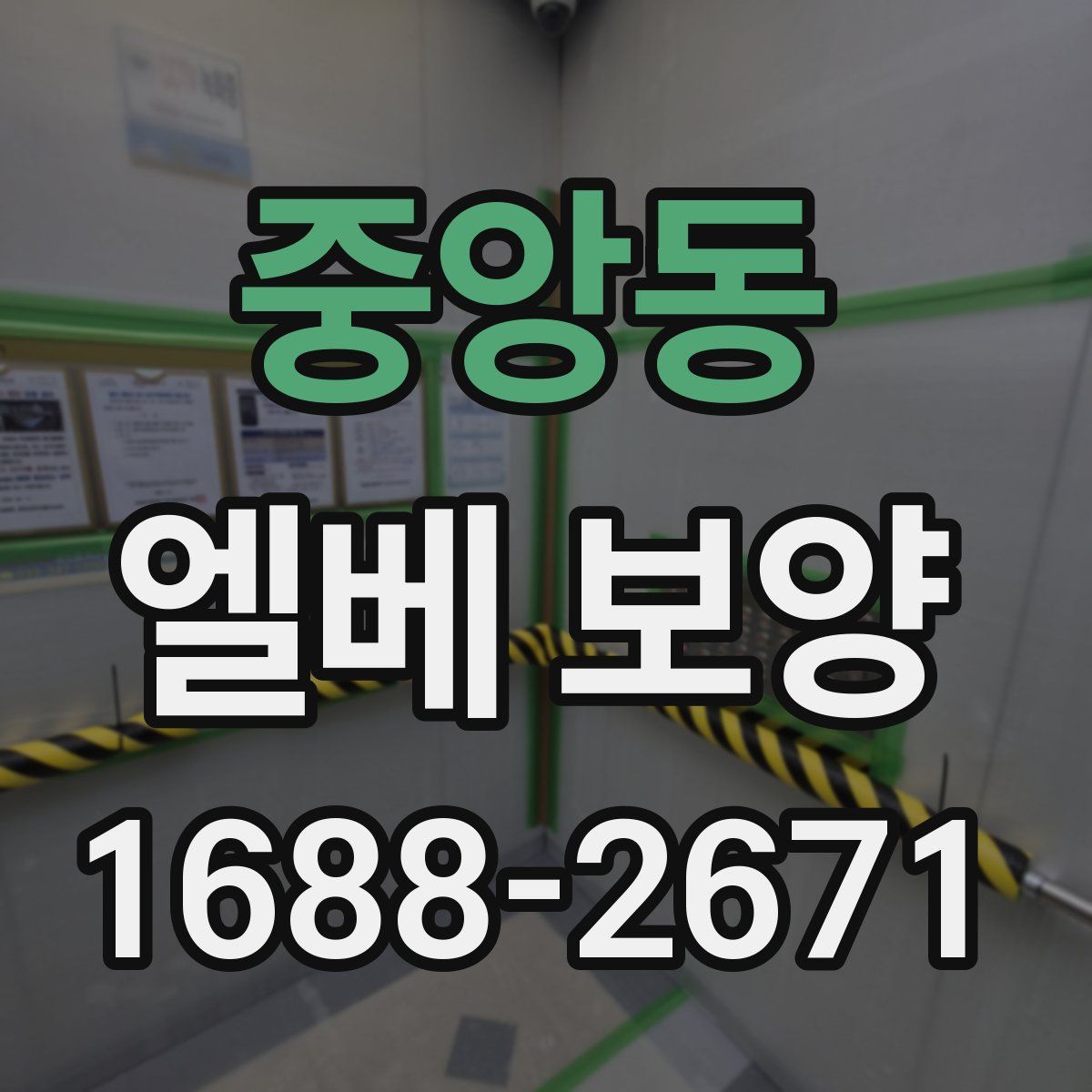 중앙동 엘베 보양