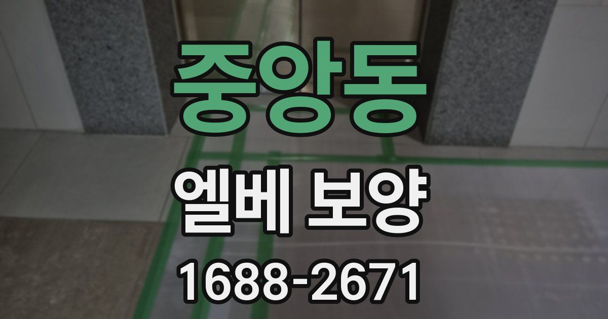 중앙동 엘베 보양