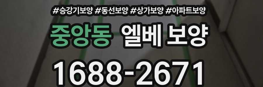 중앙동 엘베 보양
