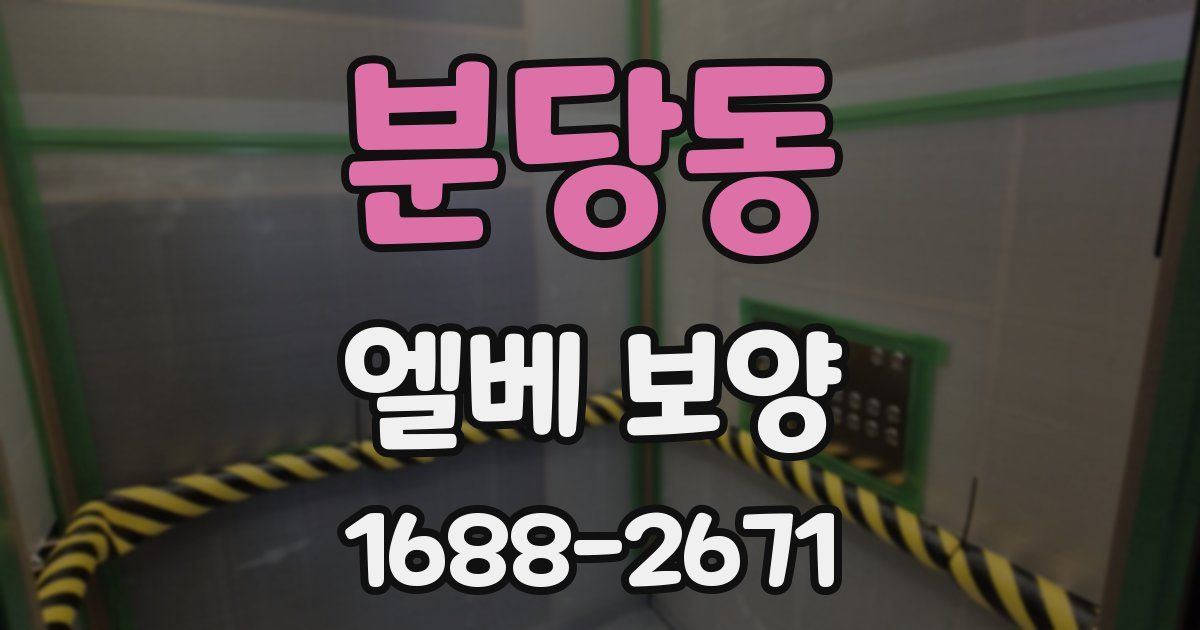 분당동 엘베 보양