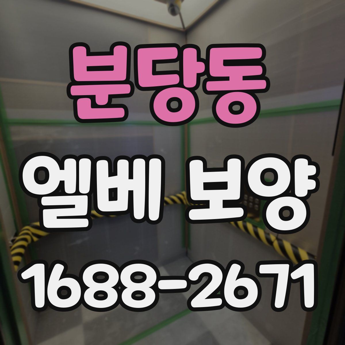분당동 엘베 보양