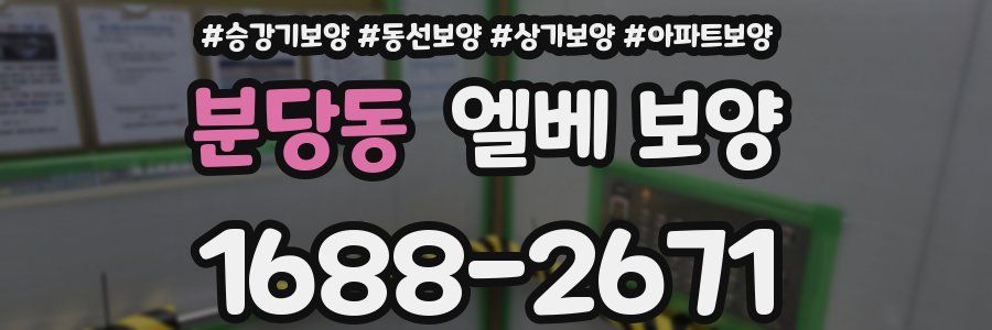 분당동 엘베 보양