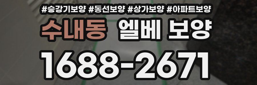 수내동 엘베 보양