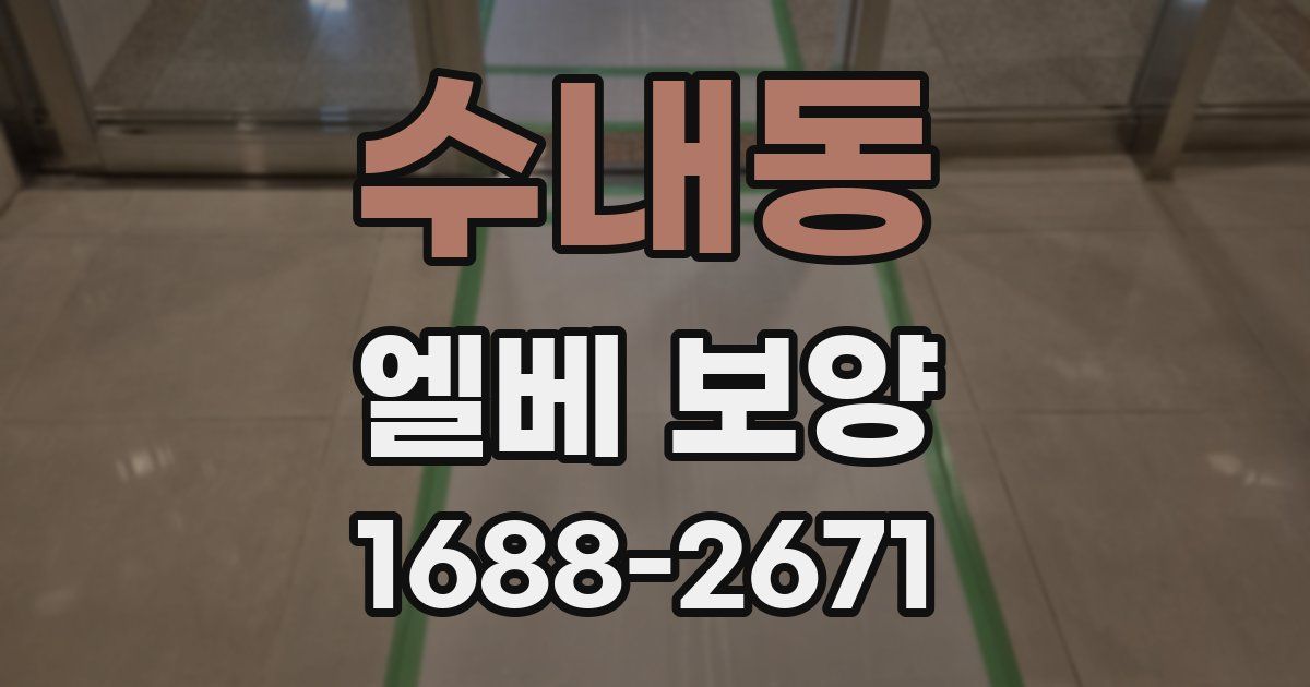 수내동 엘베 보양