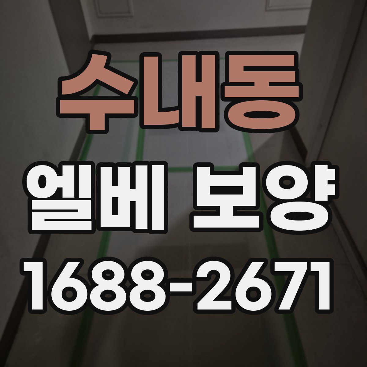 수내동 엘베 보양