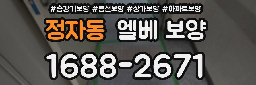 정자동 엘베 보양