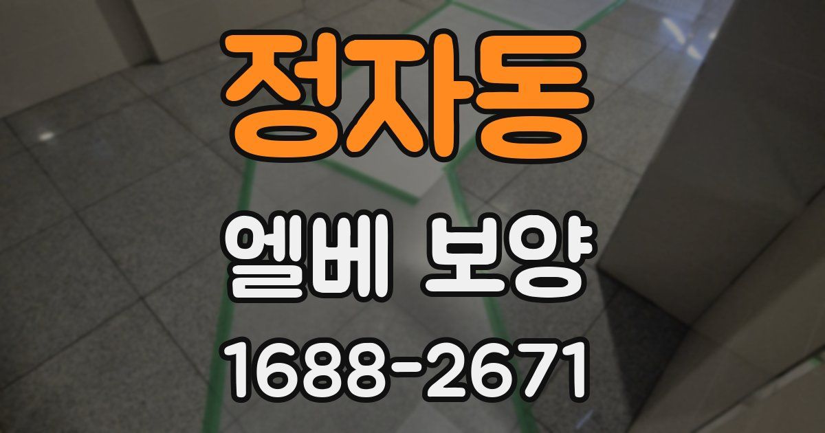 정자동 엘베 보양