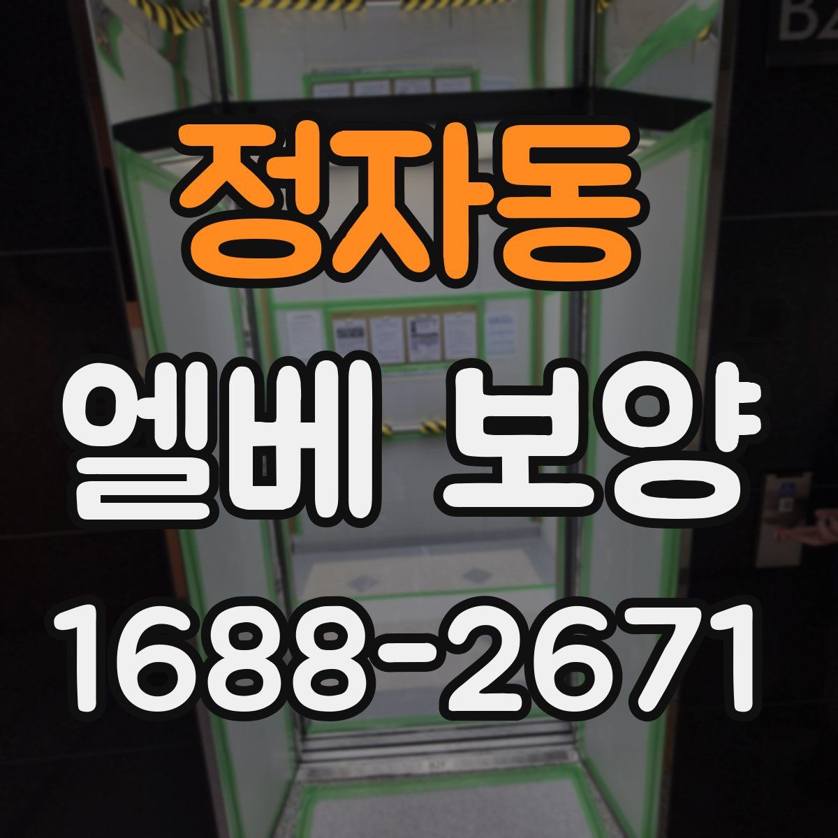 정자동 엘베 보양
