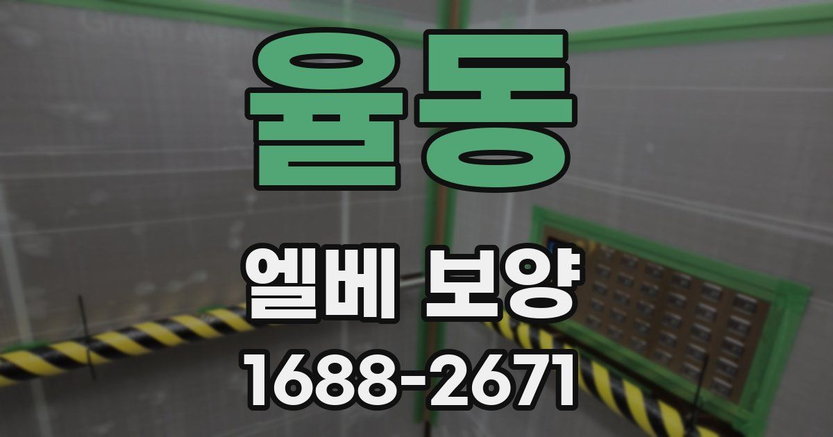 율동 엘베 보양