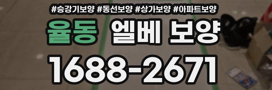 율동 엘베 보양