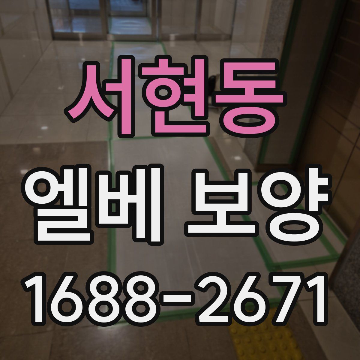 서현동 엘베 보양