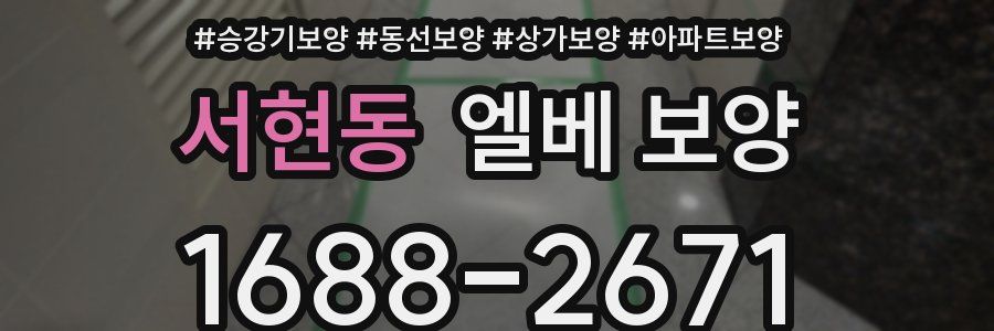 서현동 엘베 보양