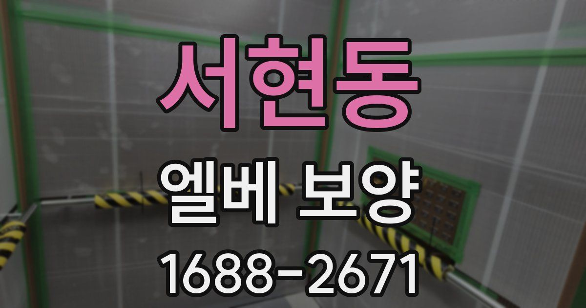 서현동 엘베 보양