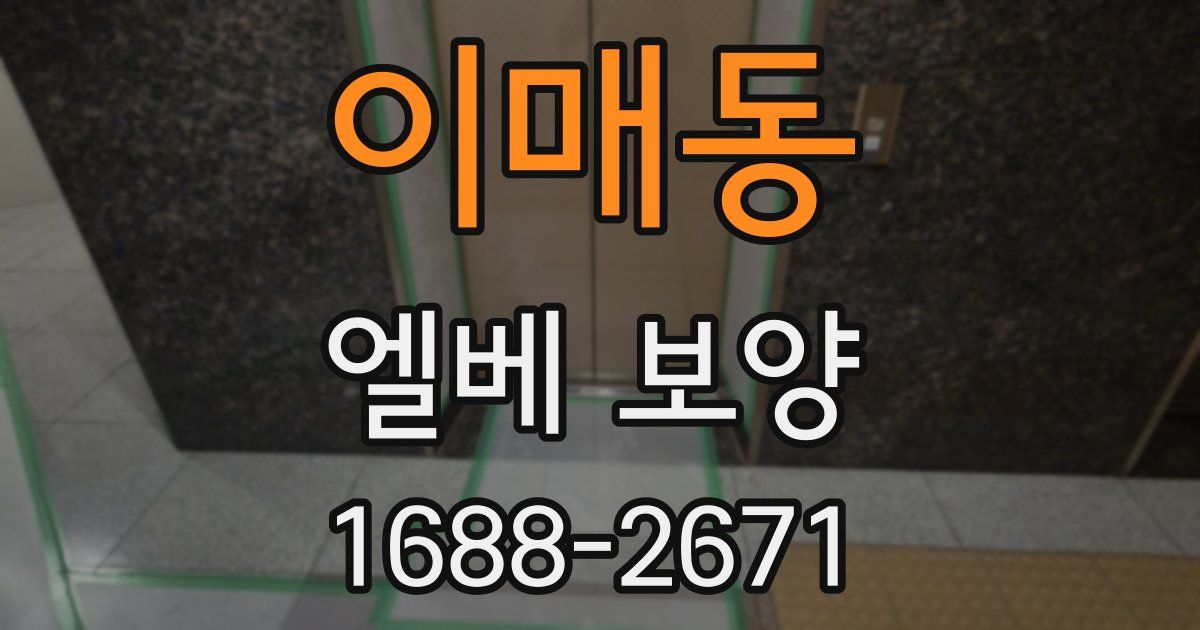 이매동 엘베 보양