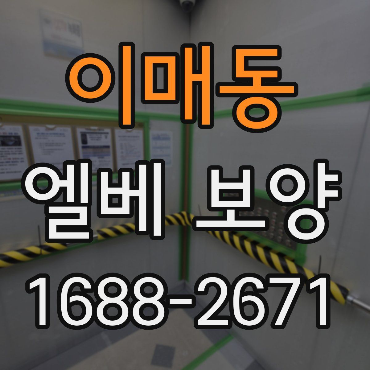 이매동 엘베 보양